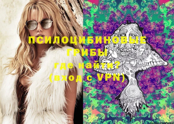 ешки Верхний Тагил