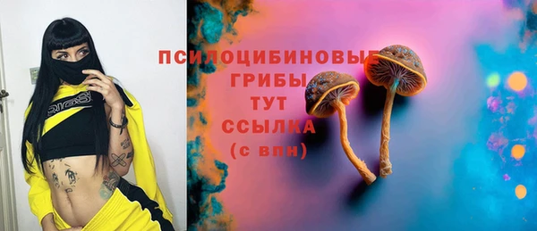 ешки Верхний Тагил