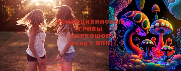 прущая мука Верея