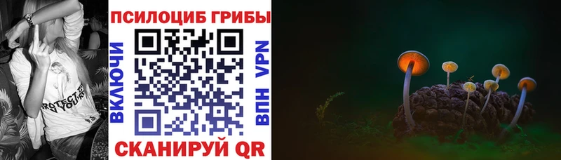 Псилоцибиновые грибы Cubensis  Каспийск 