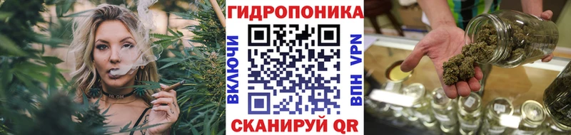 закладка  Каспийск  Канабис гибрид 